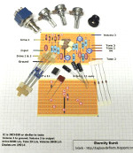 Lovepedal Eternity Burst Clone - Click Image to Close