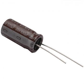 10uF 25V Elna Silmic II Electrolytic