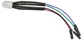 RGB Squid 10mm